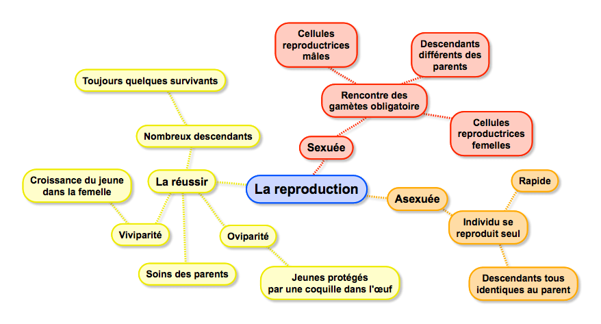 La-reproduction